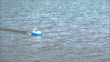 RC hovercraft final version