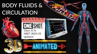 Body fluids & circulation ONE SHOT 3D-ANIMATION (Hindi)|Complete chapter for NEET 2024 Updated|#neet