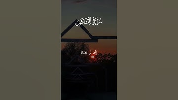سورة القصص آية 30 لي آية 32 القارئ الشيخ ياسر الدوسري