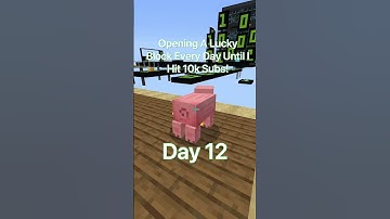 We’re Now On Day 12 of Opening a Lucky Block Until I Hit 10k Subscribers!