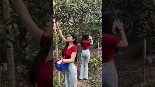 Pick Red Fruit