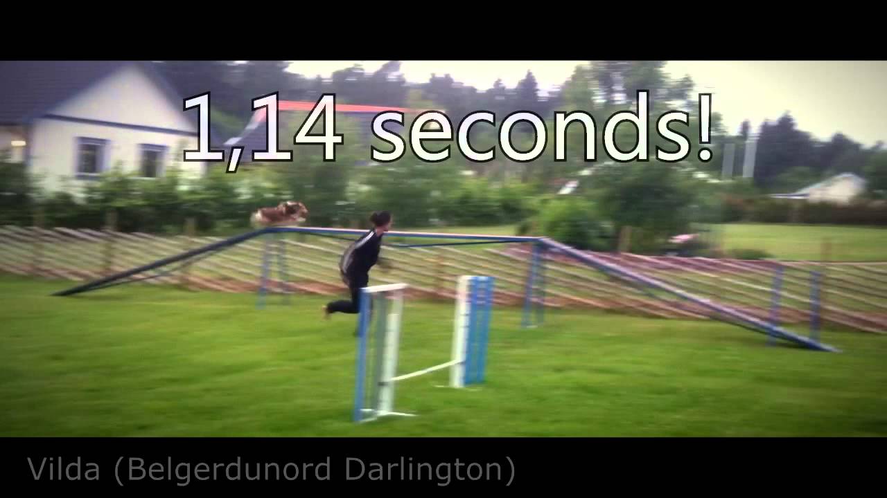 Running Contacts RUN RUN RUN YouTube