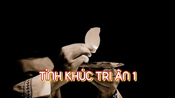 🎤 TÌNH KHÚC TRI ÂN 1 | ST: Lm. Tri Văn Vinh | TB: Lê Tuân - Kim Cúc & CĐ Phục Sinh | Karaoke HD