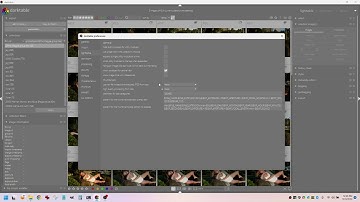 Darktable uses RAW files in lighttable even when embedded jpgs are selected
