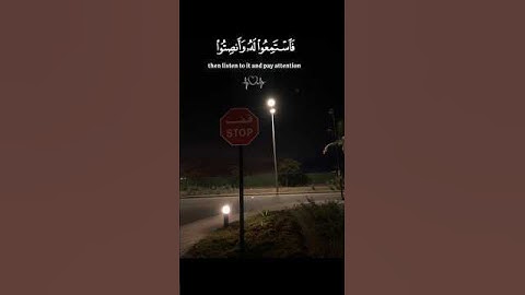 #القارئ ياسر الدوسري راحة نفسية ارح قلبك بهذي التلاوة