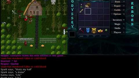 Odyssey Reborn - Guild PK