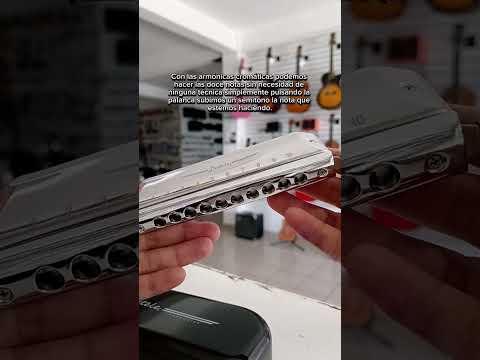 Conoce la armónica