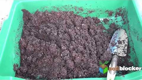 Soil Mix for SoilBlockers