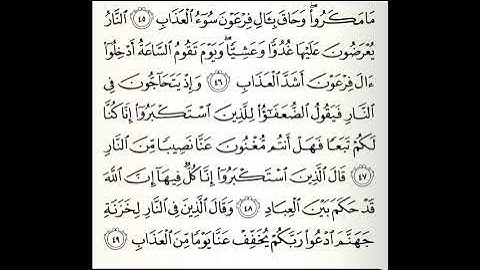 تلاوات مختارة سورة غافر القارئ محمد العريفي