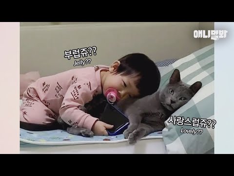 태어나 고양이와 가장 먼저 친구가 된 아기.. 3년 후ㅣWhat The <strong>Child</strong> Said To Senior <strong>Dog</strong> That Lost A Tooth