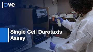 Assessing Mechanical Control Of Cellular Movement & Related Signaling Events l Protocol Preview