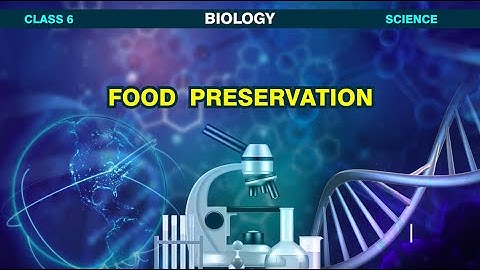 Food Preservation | Methods of Food Preservation | Kids Learning Videos - Pari TV | 4K Video