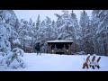 Winter camping in log cabin   winter survival shelter   solo camping   finland travel vlog