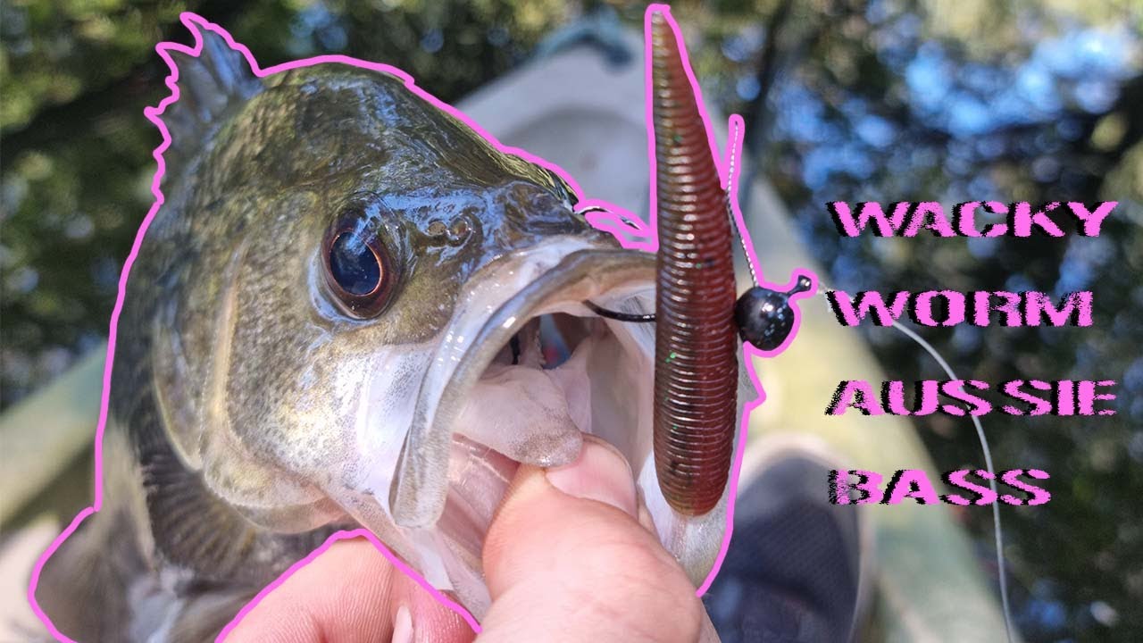 Wacky Worm Fishing For Australian Bass