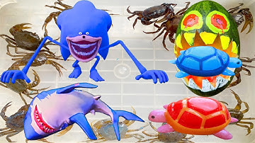 Kem Ốc Chanel ra bờ ao bắt Shin sonic cá thủy quái cứu nòng nọc, cá mập, con cua, con rùa, con vịt