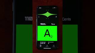 Chroma Tuner, Tuner & Metronome for the iPhone screenshot 4