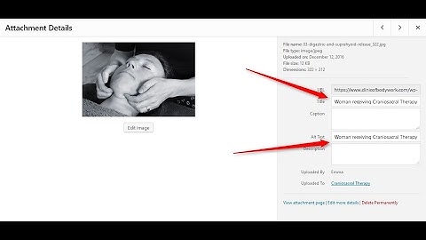 Image alt tags and title tags