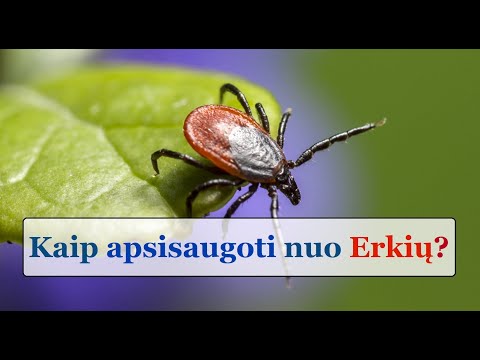 Video: Kaip Apsisaugoti Nuo Terorizmo