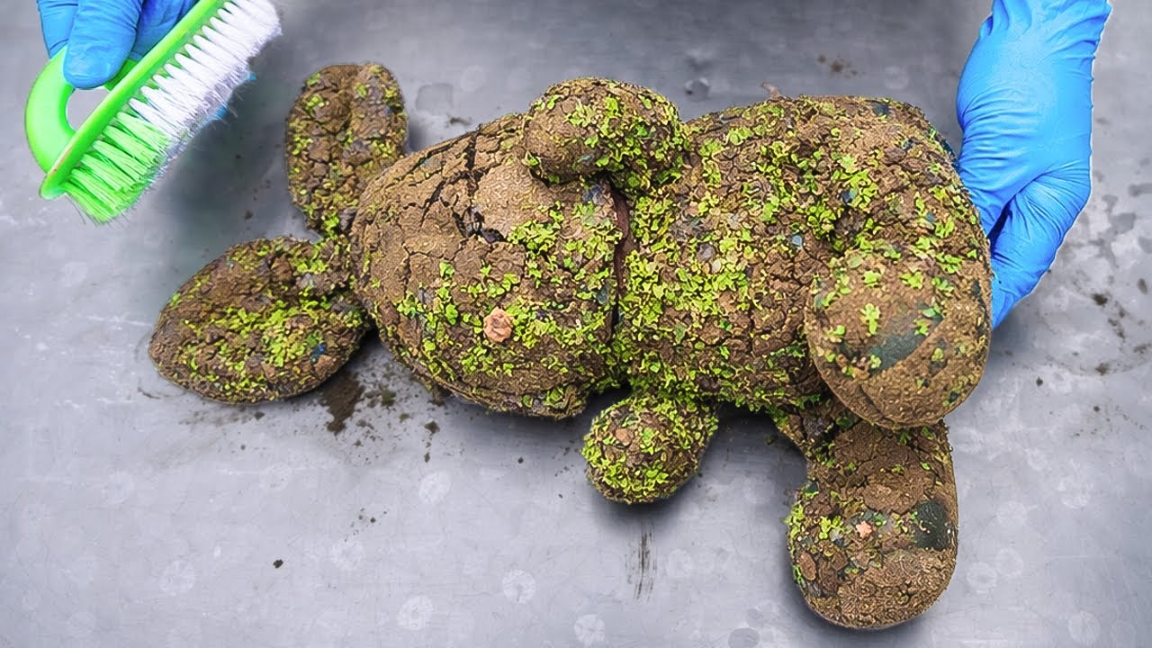 Green Rabbit Mud Cleaning Transforms Teddy Bear Best. Clean With Me. ASMR Satisfying