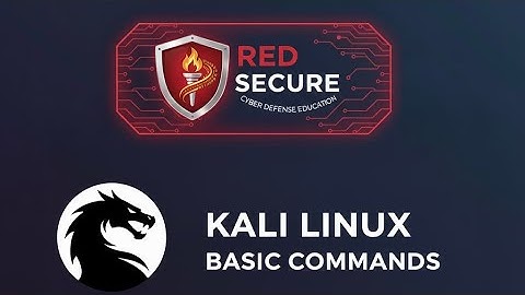 Kali Linux Terminal Essentials: 15 Basic Commands You MUST Know (Beginner Guide)