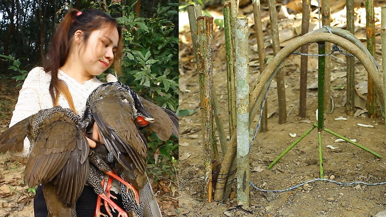 Nida making primitive trap for pheasant in jungle - YouTube