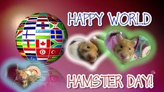 Celebrating World Hamster Day with Marmalade! 2015
