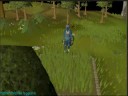Runescape - Random Event Guide