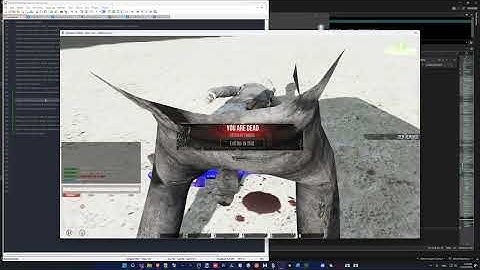 RageZone: RuHee AI Look-At system & Others update