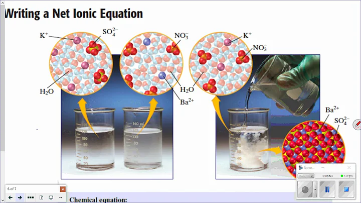 Net Ionic Equations