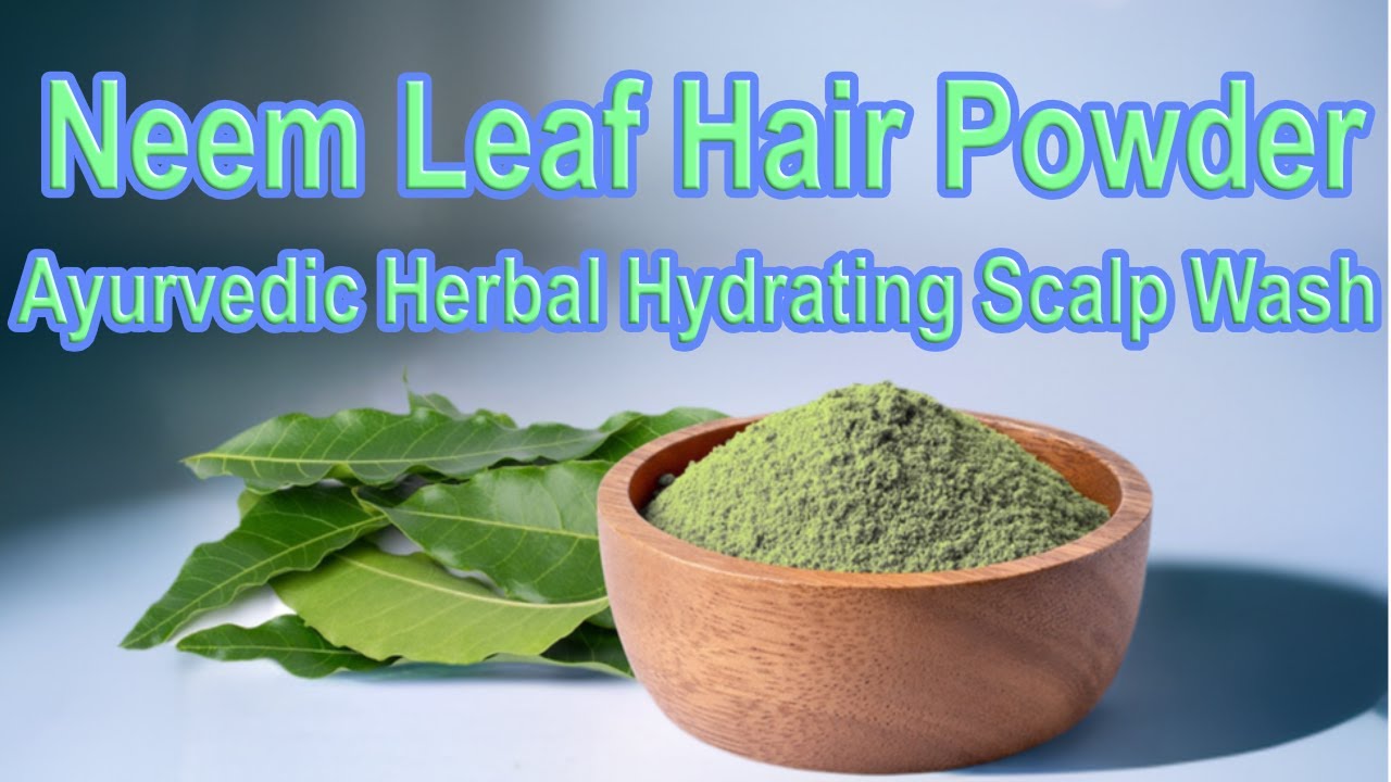 Neem Powder Hair Care Ayurvedic Herbal Hydrating Scalp Wash YouTube