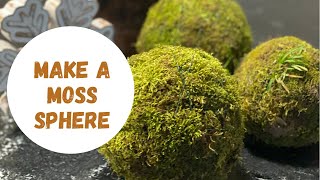 How to Make Moss Sphere  Moss Ball