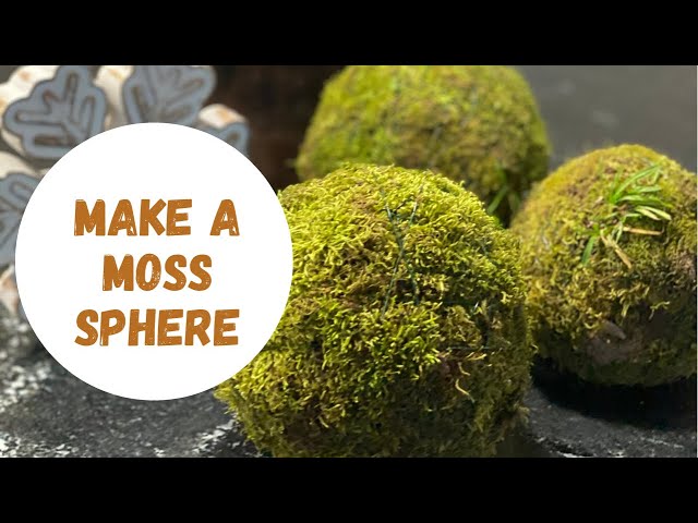 How to Make Easy DIY Decorative Moss Balls - Jenna Kate at Home