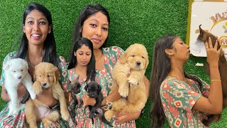 Surprise for Mona cute puppies for lowest price zoom pets l mama with babyma