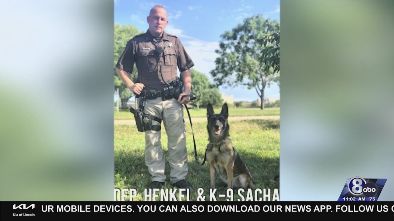 Lancaster County Sheriff’s Office mourns loss of retired police dog