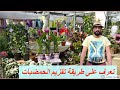 comment peut-on crée un arbre nain  ادخل وشوف سر طريقة تقزيم اليوسفي