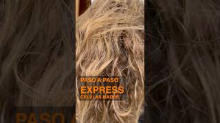 🧡Alisado Células Madre Liss Expert 🧡
