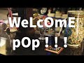 Pachae  welcome pop audio