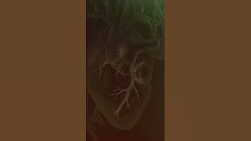 State Of Decay 2 Survivor Turns Into Zombie