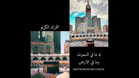 اللَّهُ لا الَٰهَ إِلَّا هُوَ الحَيُّ القَيُوم |فيديوهات قصيره للقران الكريم|حالات واتساب قران كريم💙