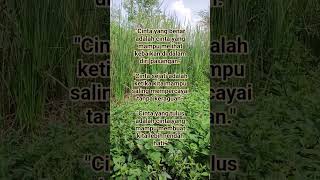 Kata Kata Bijak Tentang Cinta Sejati Penuh Nasehat Motivasi Diri Hubungan Setia Yang Indah Harmonis