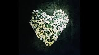 Alkaline Trio – The American Scream (ΗQ)