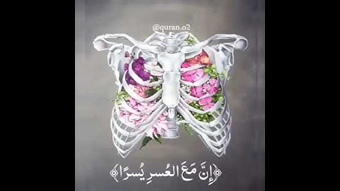 تلاوة سورة الشرح بصوت جميل