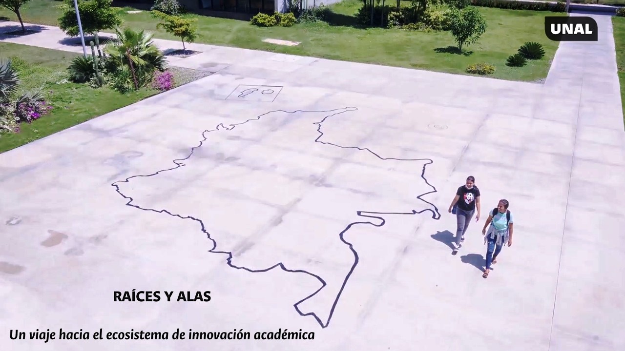 Raíces y alas. Un viaje hacia el ecosistema de innovación académica