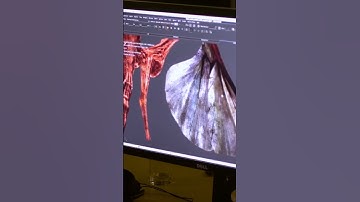 Is Vertex Painting better than textures?