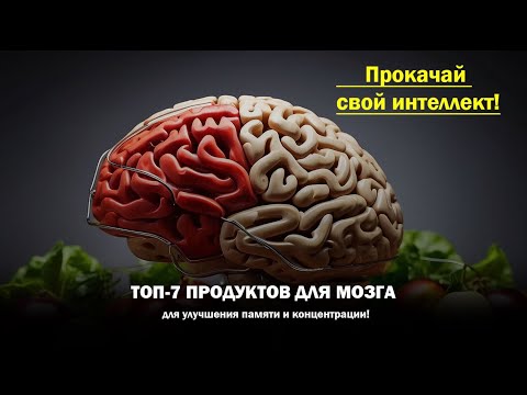 ТОП-7 продуктов для