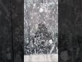 One shade Marble with price available#videoviral#foryou#Ytshorts#marble#granite