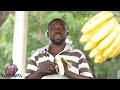 KIZINGITI BABA LEO UJAFUNGA