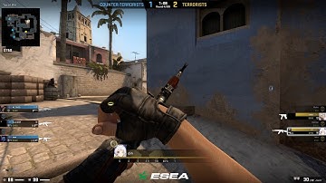 INSANE ACE in ESEA pug