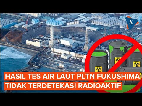 Jepang Klaim Air Laut Dekat PLTN Fukushima Tak Mengandung Radioaktif