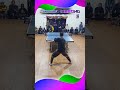 Relaxed Defense, Reliable Attack #탁구 #卓球 #乒乓球 #worldtabletennis #ittf #tabletennis #sports #shorts